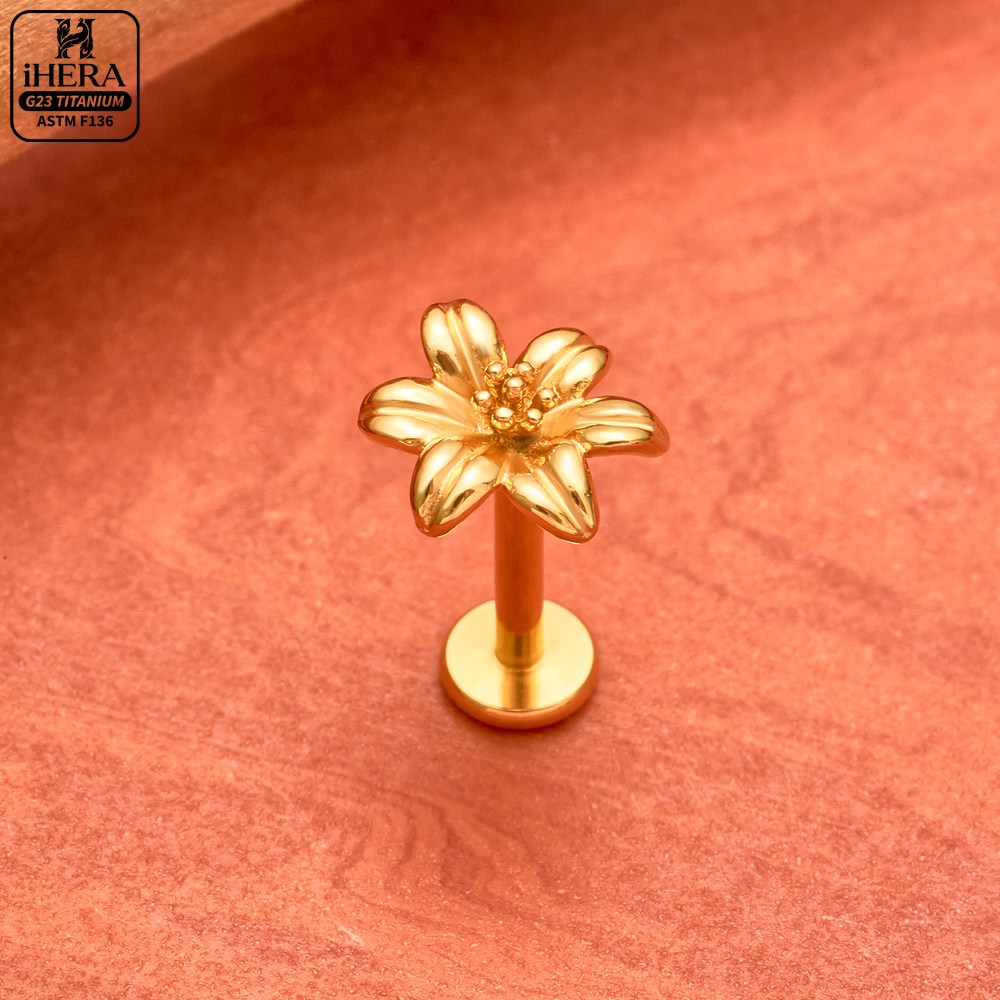 Brincos de Titânio G23 Pequeno - Rook Curved Barbell avaliação e preço